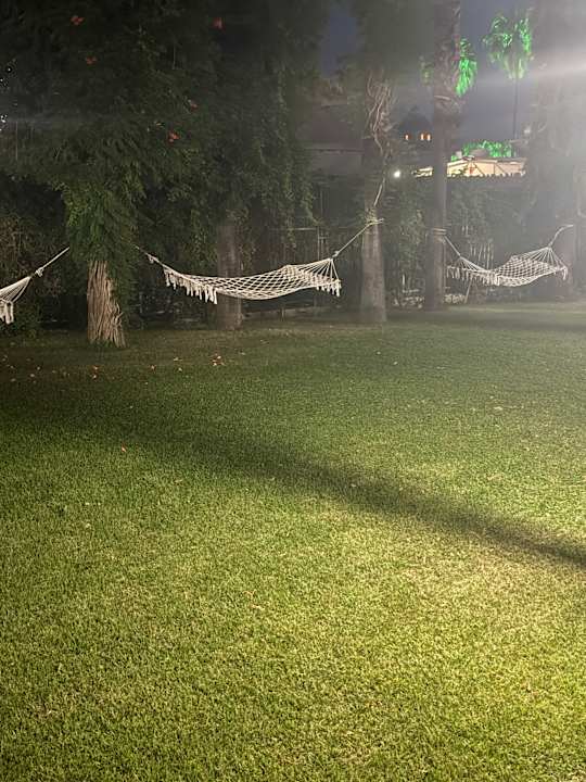 Gartenanlage Trendy Palm Beach (Adults Only, 16+)