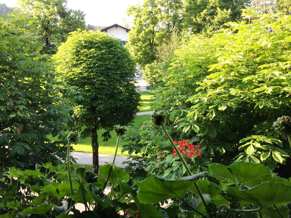 Ausblick Gästehaus Faltermeier