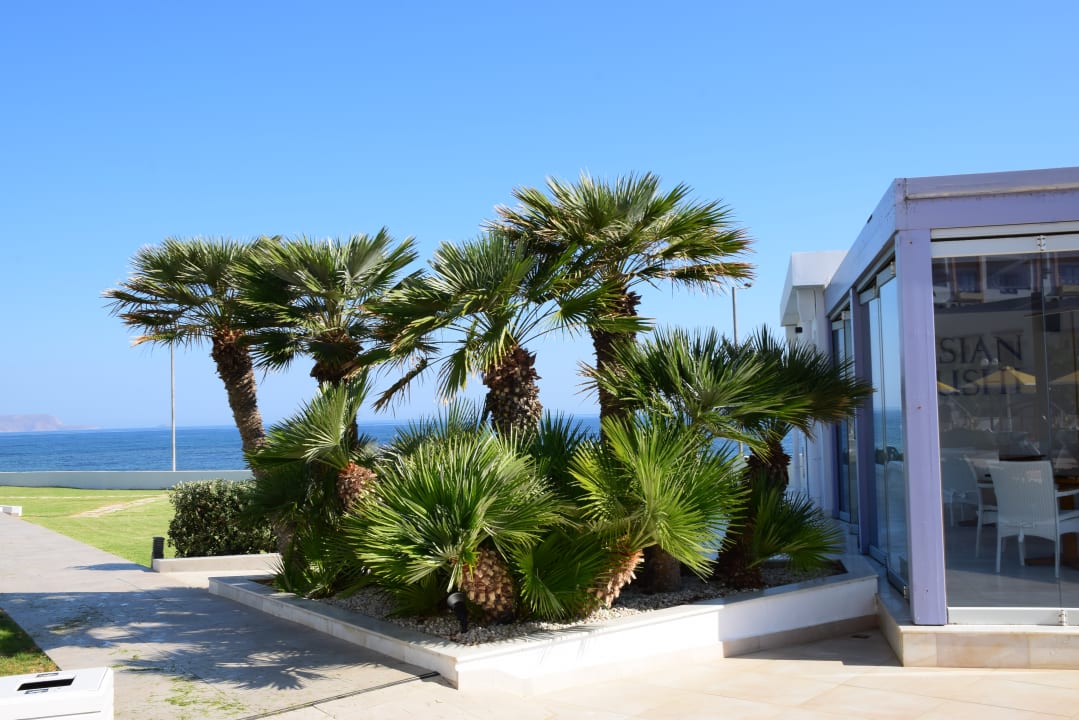 Gartenanlage Hotel Serita Beach