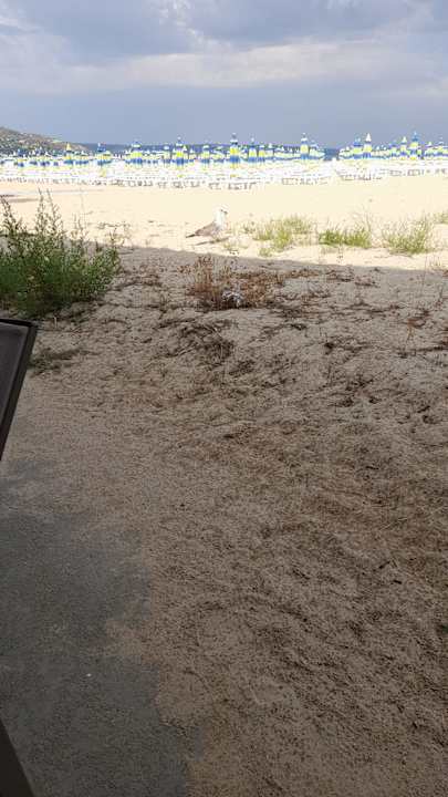 Gastro Hotel Borjana