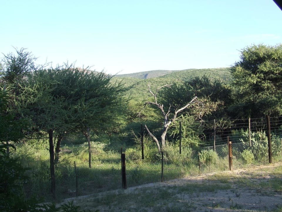 Ausblick vom Zimmer Guest Farm Okumitundu