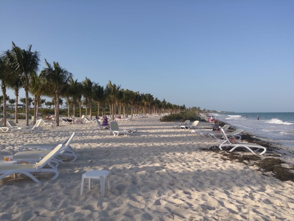 Strand Hotel Riu Dunamar