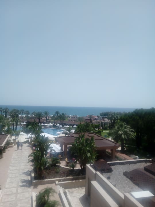 Zimmer Crystal Tat Beach