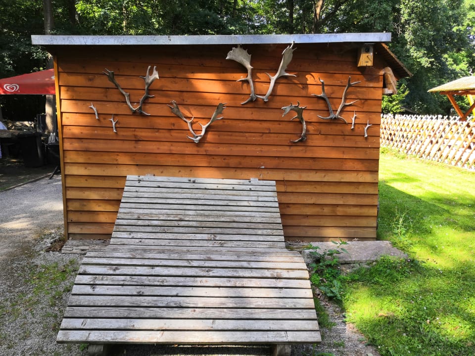 Sonstiges Pension Forsthaus Leiner Berg