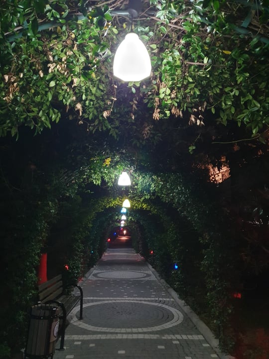 Gartenanlage Dream Family Club