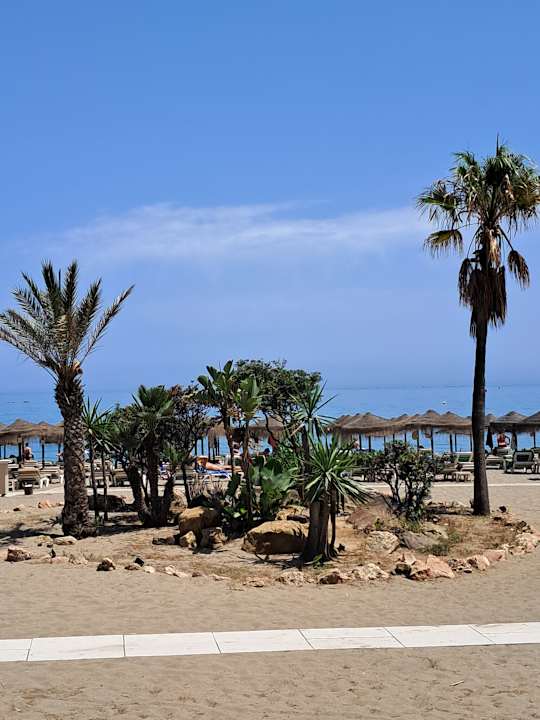 Sonstiges BLUESEA Gran Cervantes