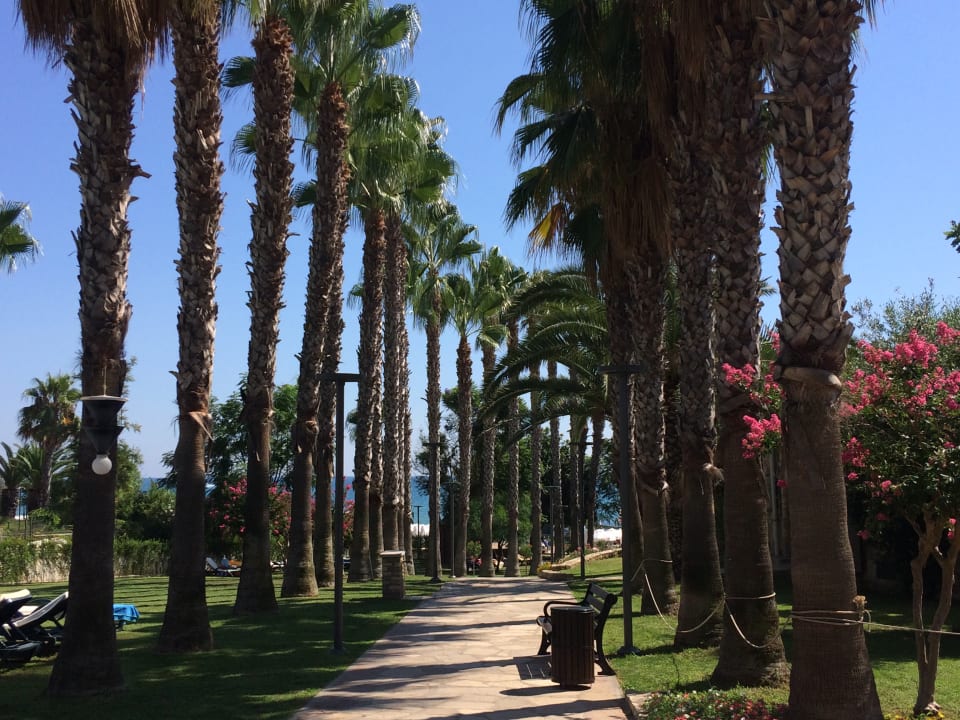 Gartenanlage Arum Barut Collection