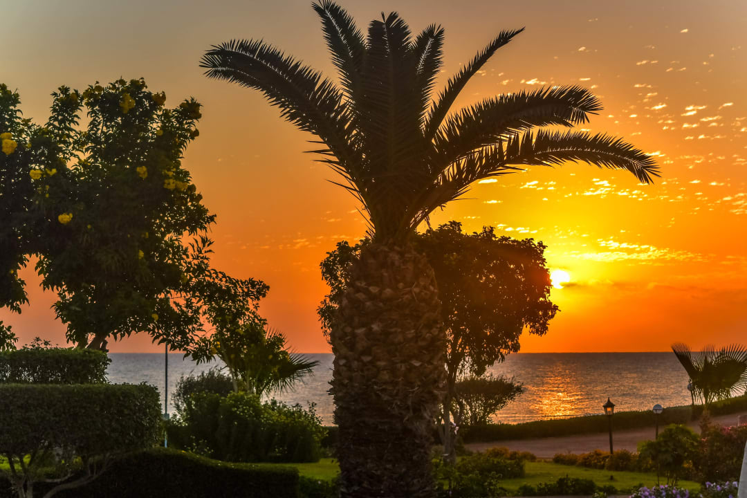 Garten Three Corners Equinox Beach Resort