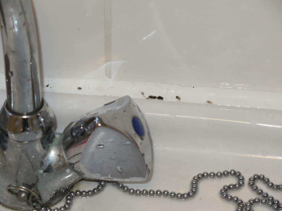 Schimmel Landal Beach Resort Ooghduyne