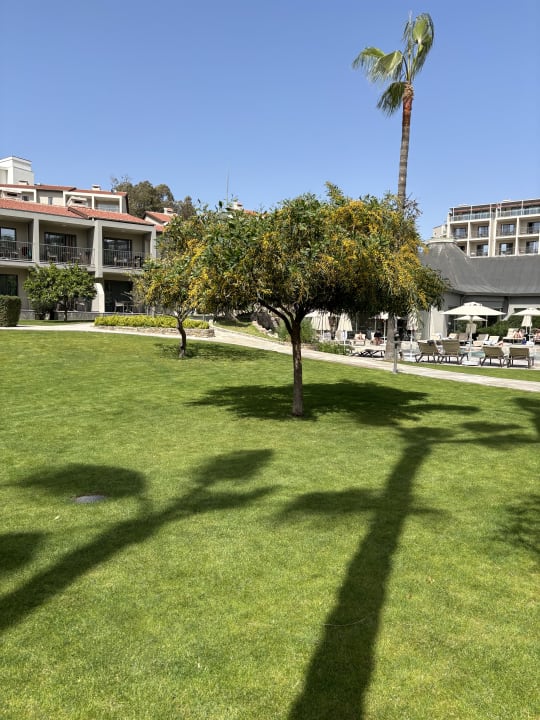 Gartenanlage Arum Barut Collection