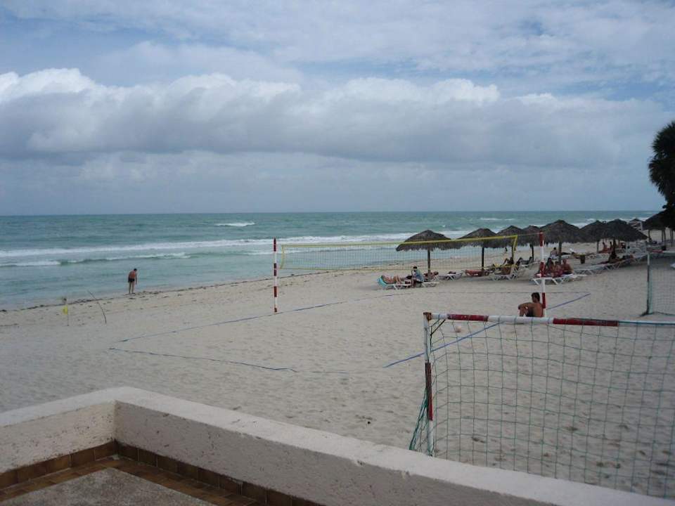 Blick auf den Strand Starfish Cuatro Palmas