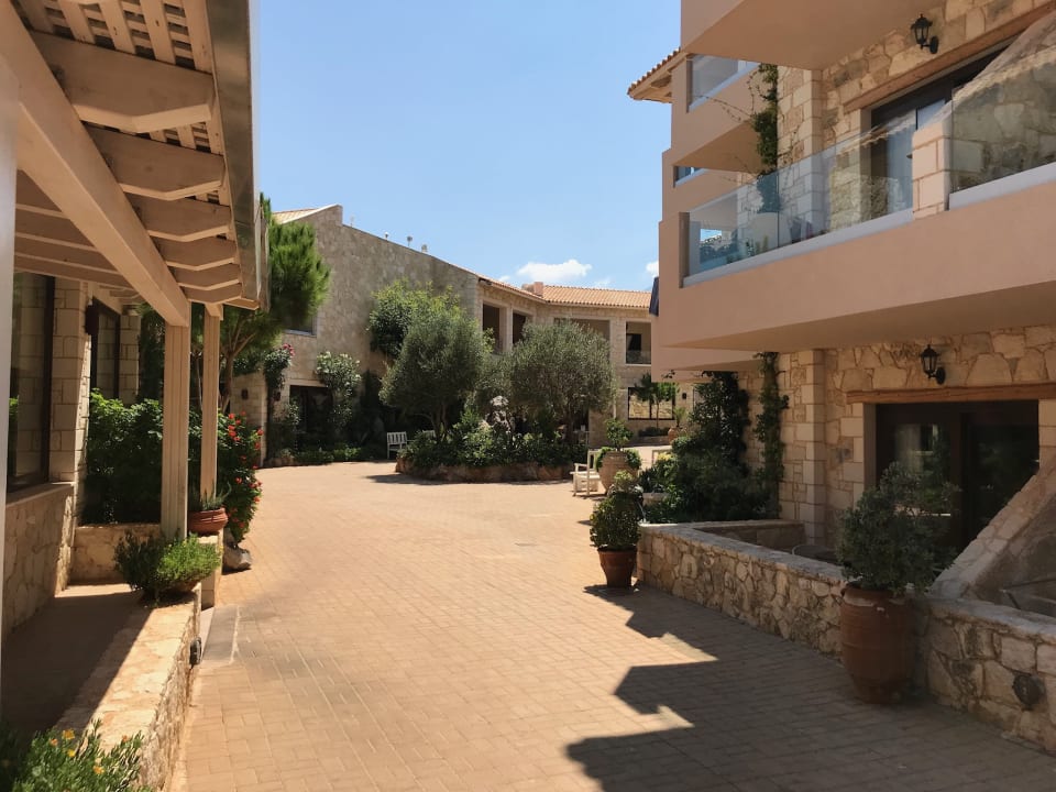 Gartenanlage Cactus Royal