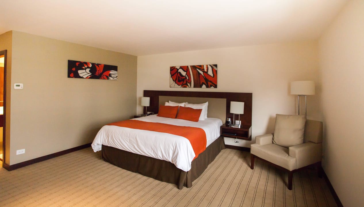 Standard Room Single  Bed Wyndham Garden Hotel San Jose Escazu