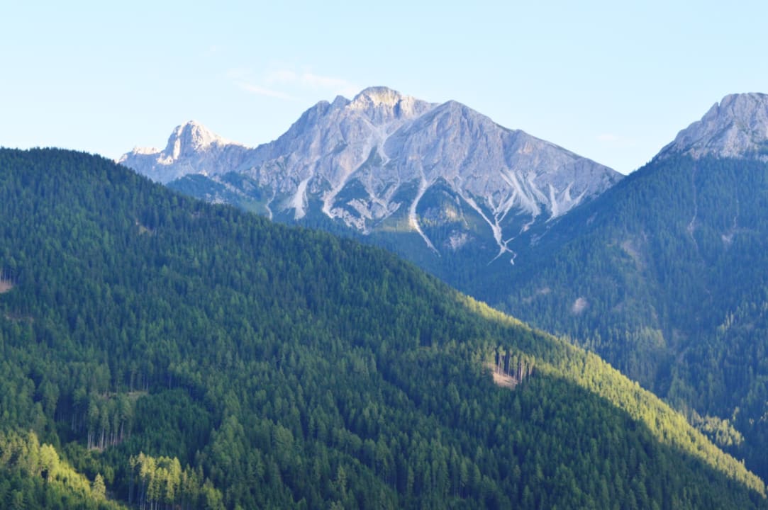 Ausblick Niedereggerhof - Urlaub auf dem Bauernhof