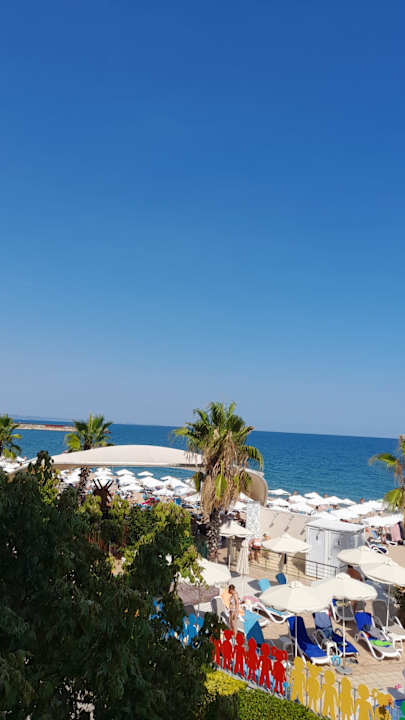 Strand Sentido Marea