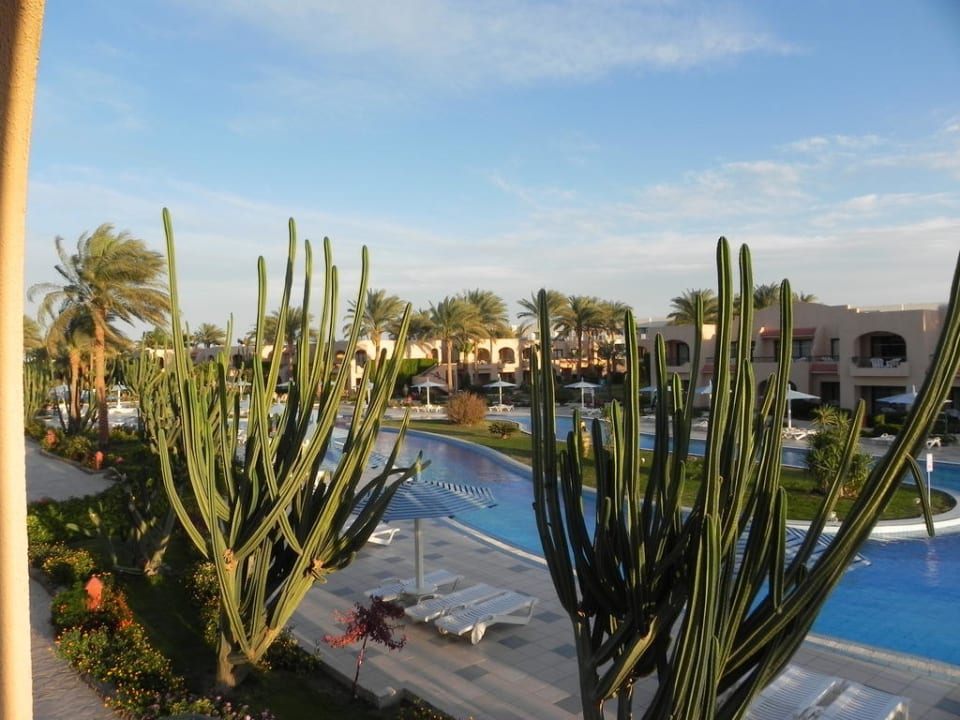 Blick vom Balkon Ali Baba Palace Resort