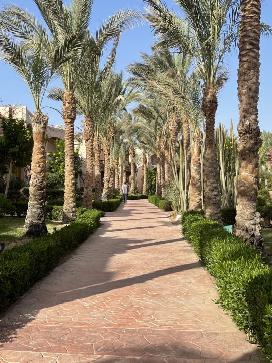 Gartenanlage Dream Lagoon Resort & Aqua Park