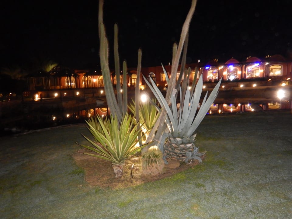 Gartenanlage Radisson Blu Resort, El Quseir