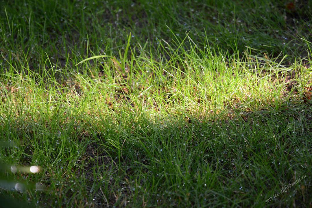 Delphin Imperial Hotel Delphin Imperial