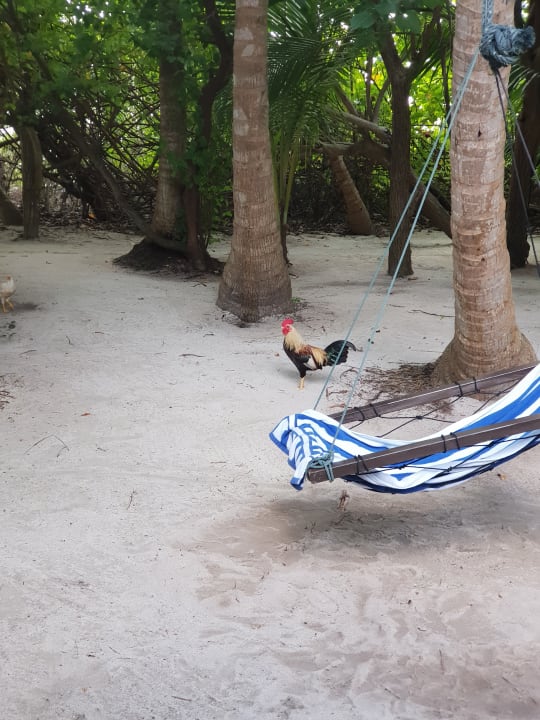 Strand Embudu Village