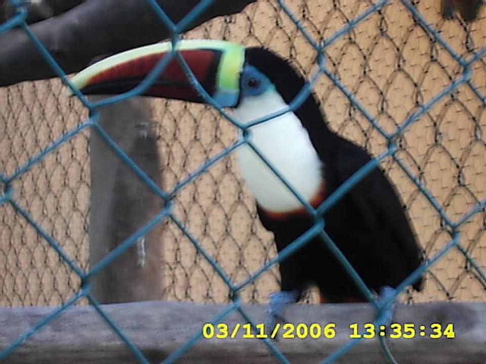 Vogel Hotel Pueblo Caribe