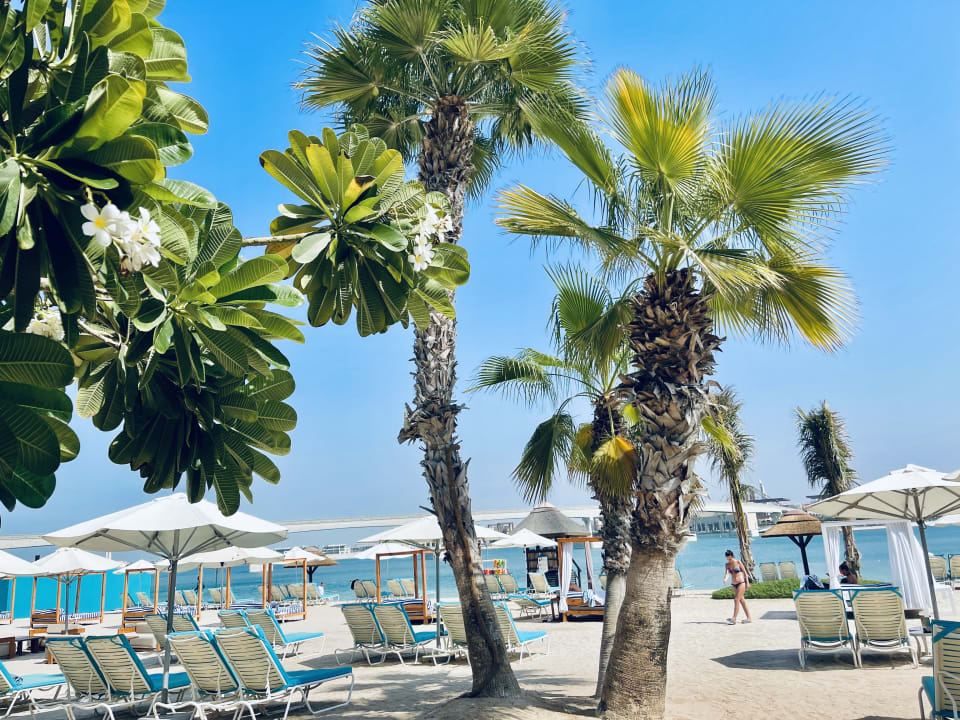 Strand Atlantis, The Palm