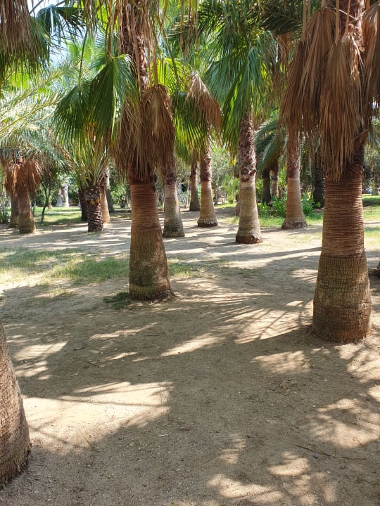 Gartenanlage Seaden Sea World Resort & Spa