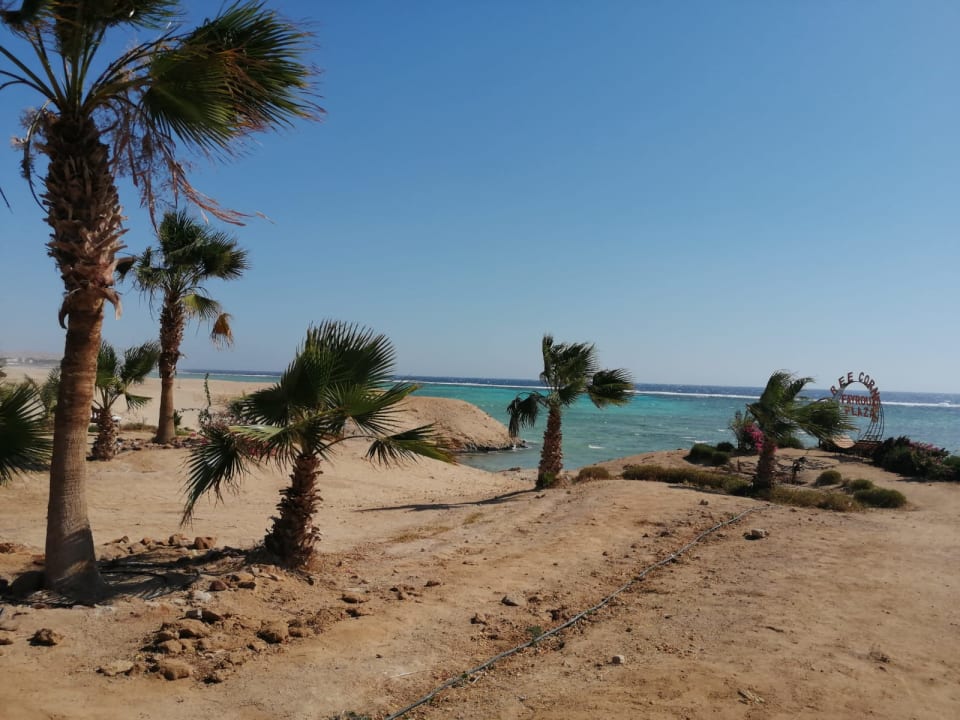 Strand Three Corners Fayrouz Plaza Beach Resort