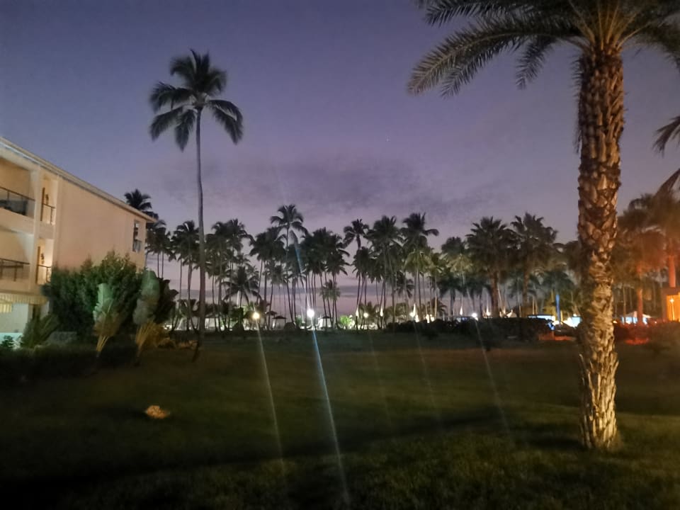 Gartenanlage Viva Wyndham Samaná