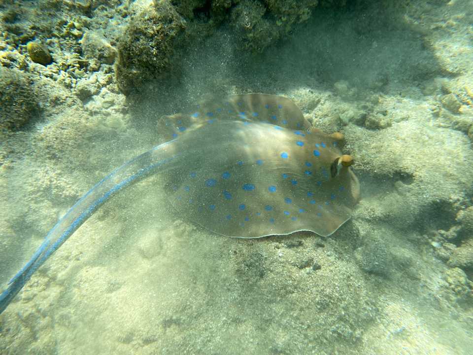 Strand Three Corners Happy Life Beach Resort