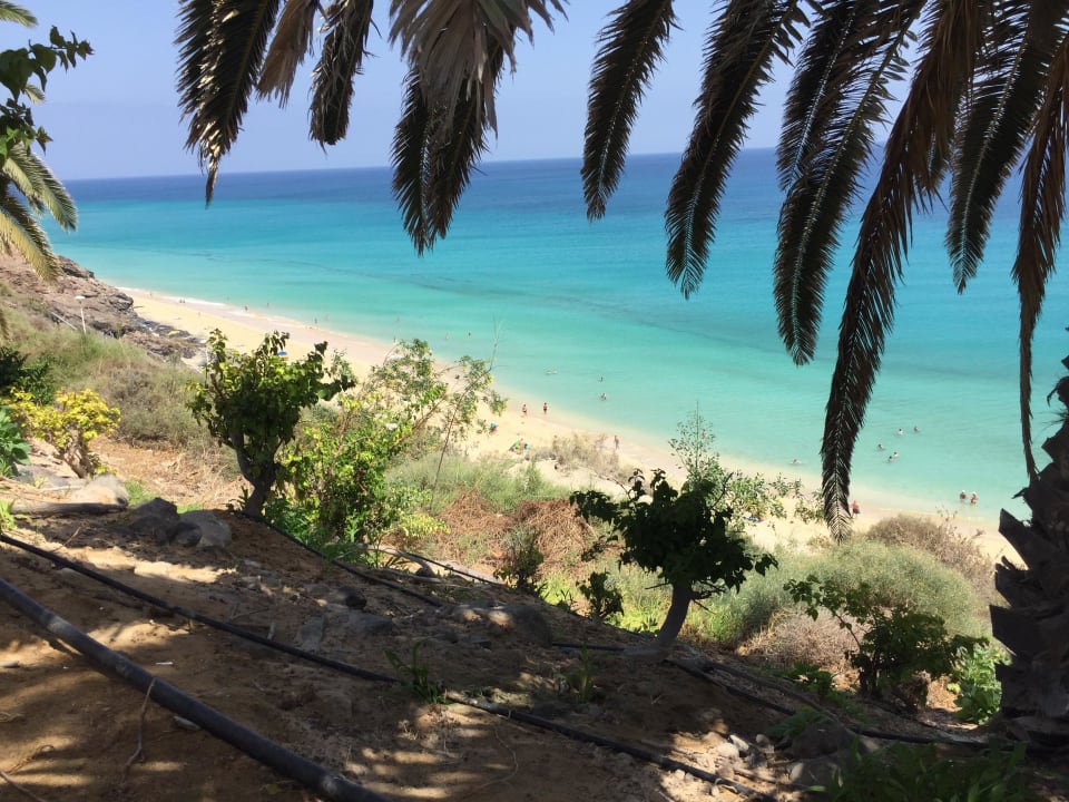 Blick vom Hotel Richtung Meer SBH Club Paraiso Playa