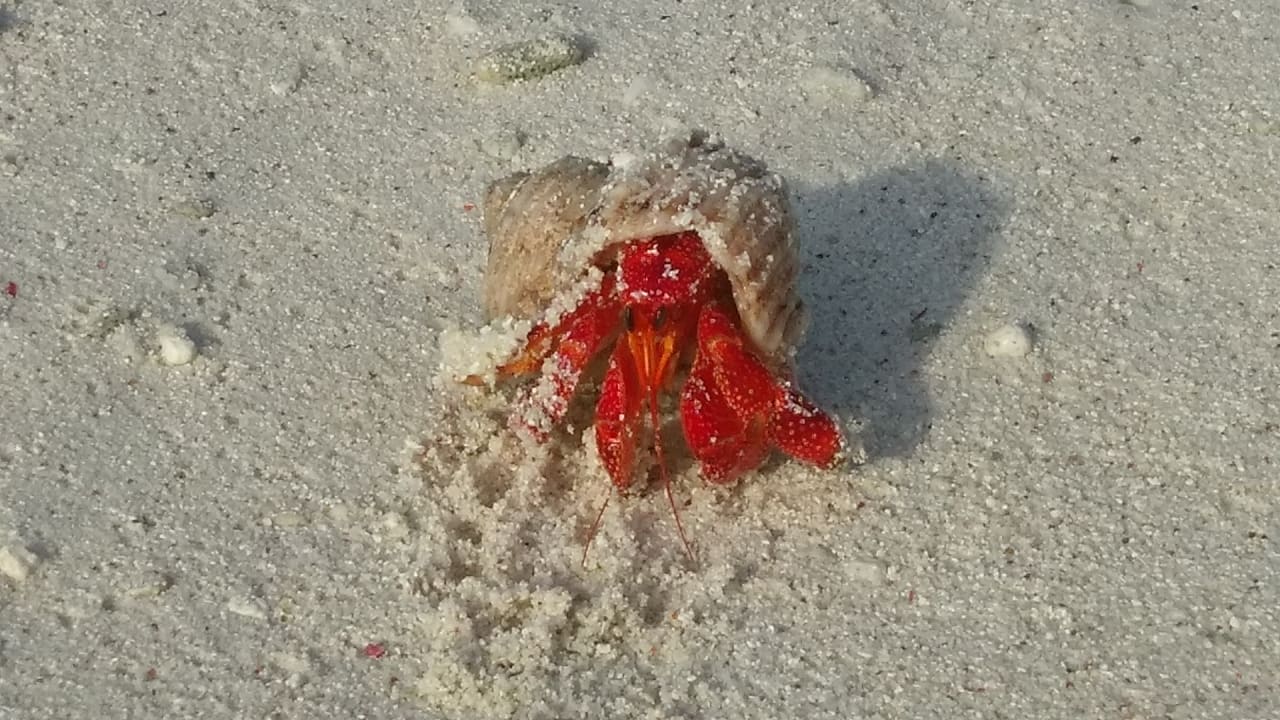 Strand Cinnamon Dhonveli Maldives