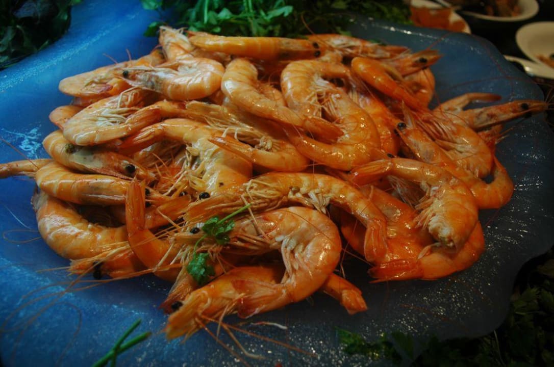 Food Lopesan Baobab Resort