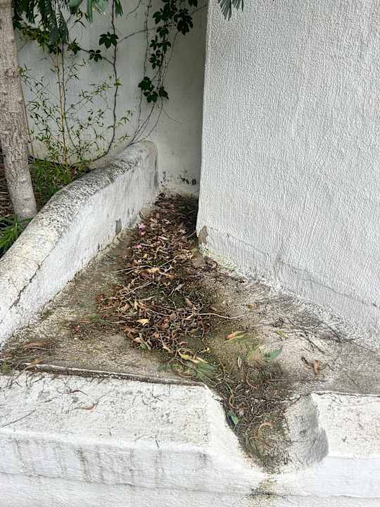 Gartenanlage Arbatax Park Resort - Dune