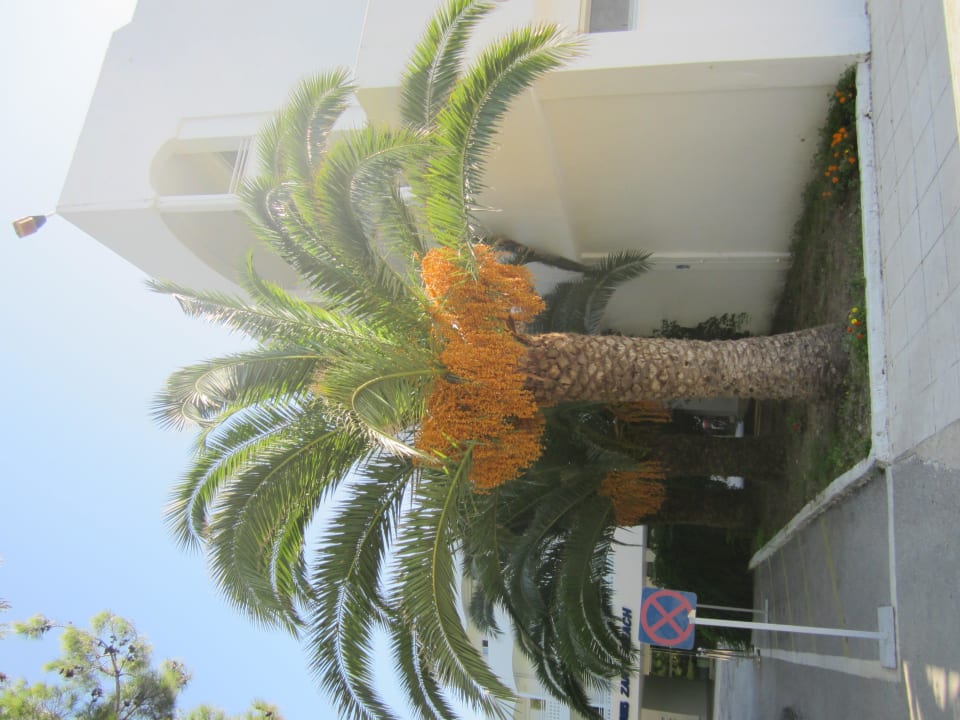 Schöner Grünbereich rund um das Hotel Domes Aulūs Zante, Autograph Collection