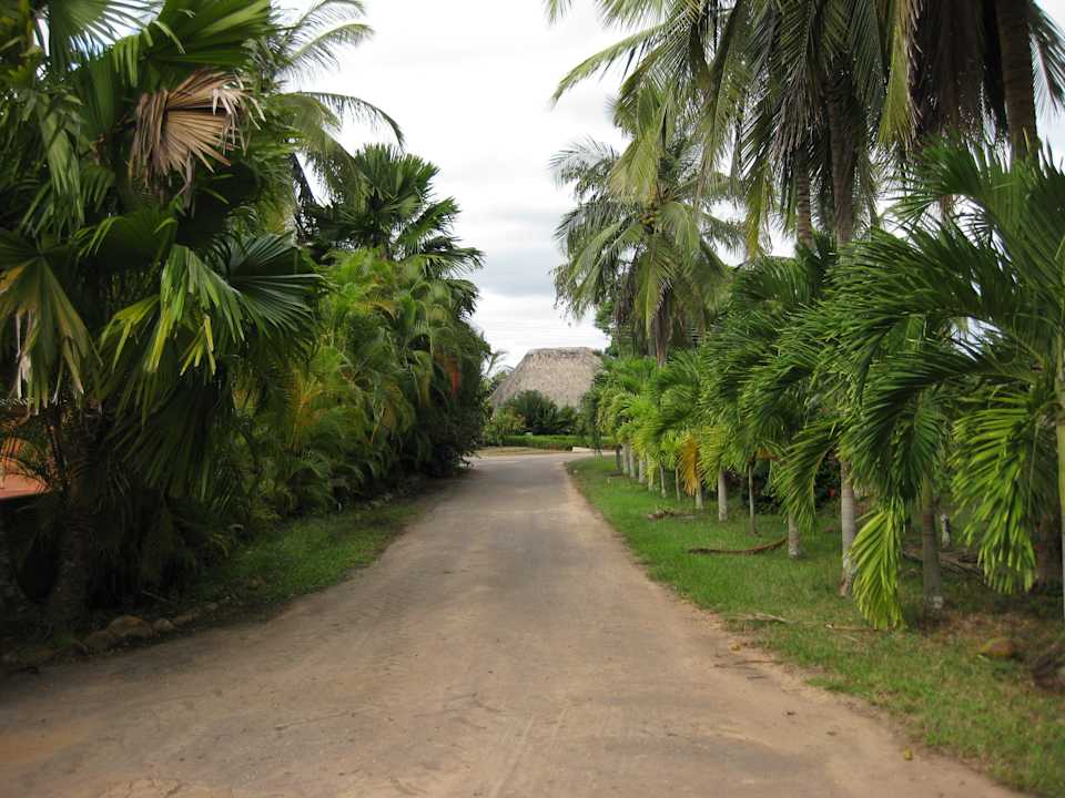 Zufahrt Rancho San Andres