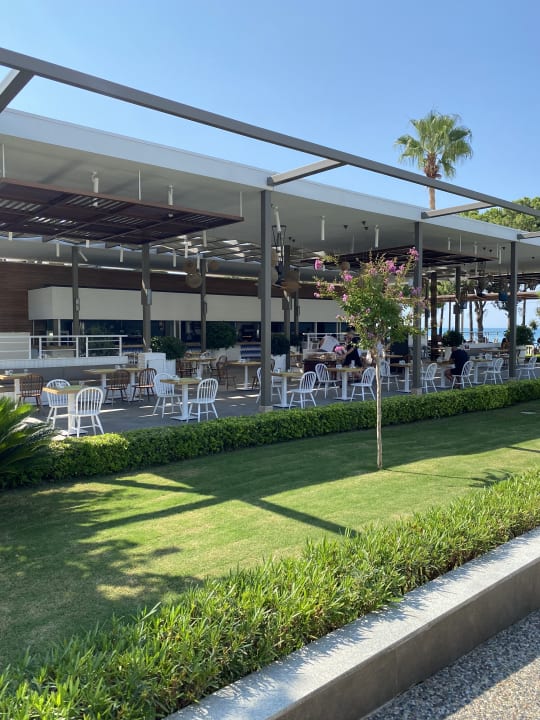 Gastro Acanthus Cennet Barut Collection