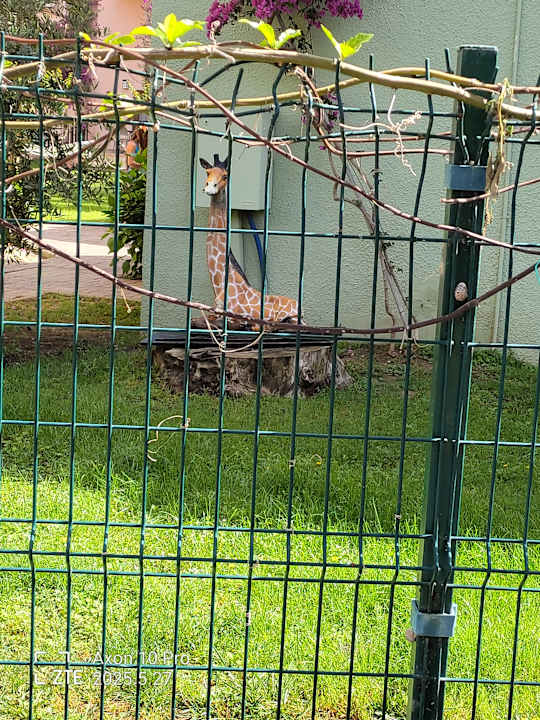 Ausblick VONRESORT Golden Beach