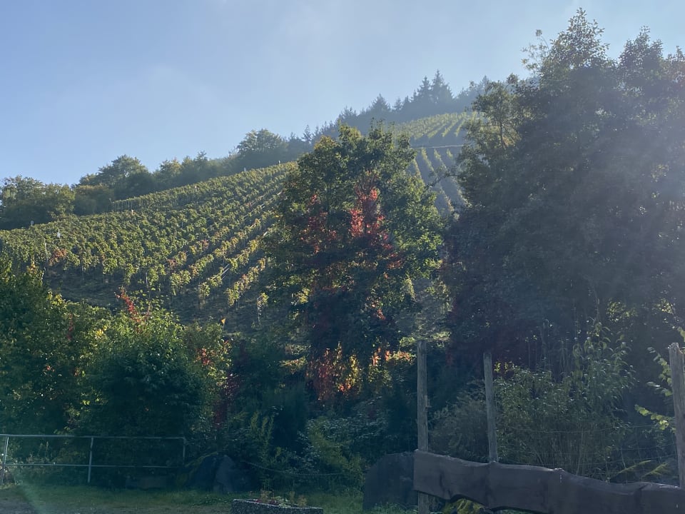 Sport & Freizeit Moselromantik Hotel Kessler-Meyer