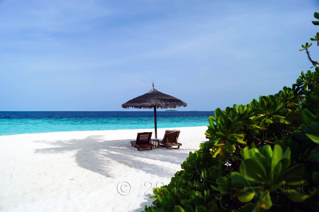 A place in the sun NH Collection Maldives Reethi Resort