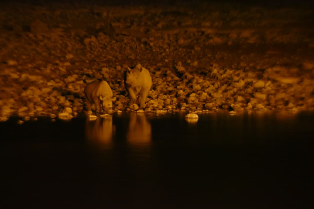 Ausblick Okaukuejo Camp