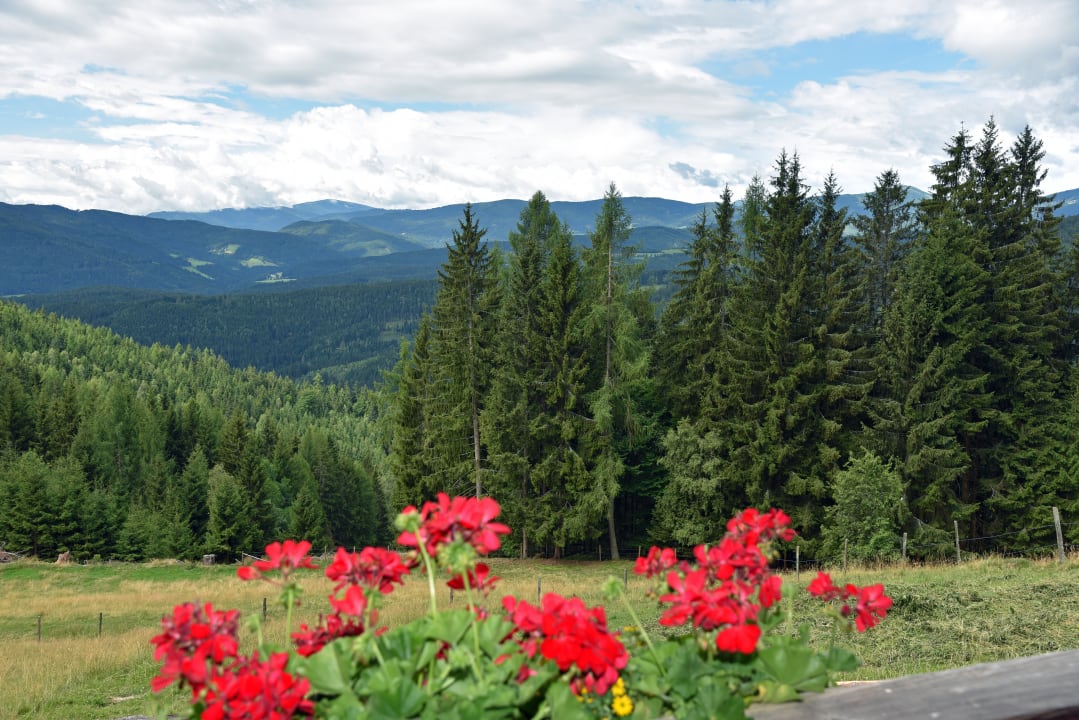 Außenansicht Pettacher Hütte