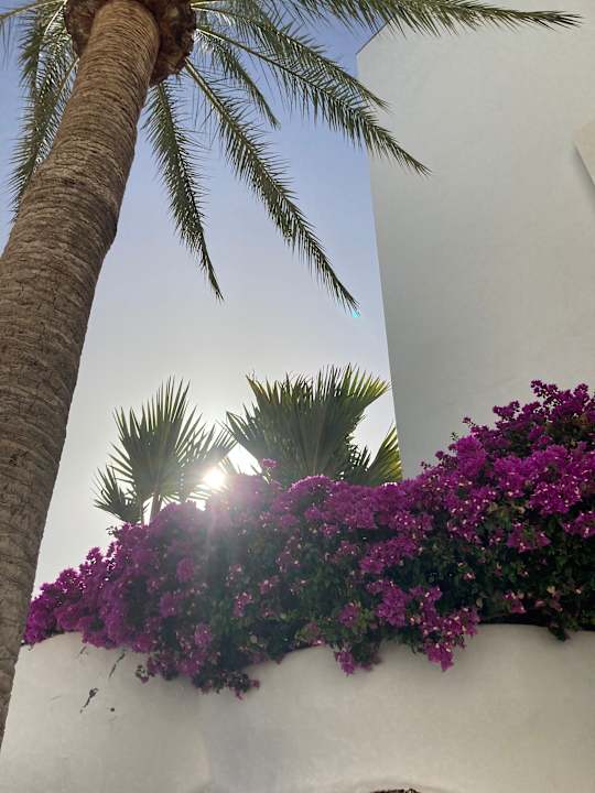 Gartenanlage Hotel Fariones