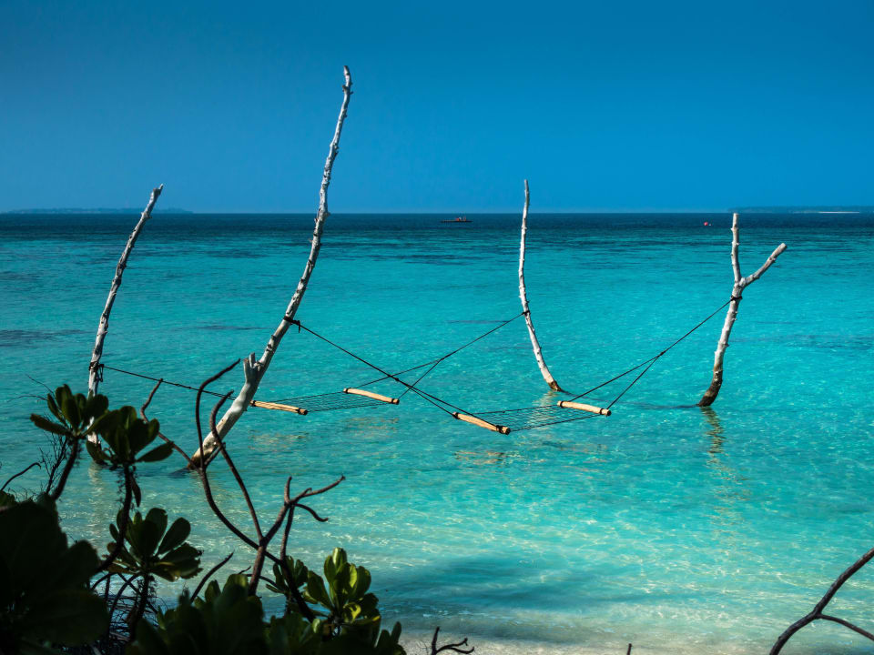 Hängematten West Seite aaaVeee Nature's Paradise