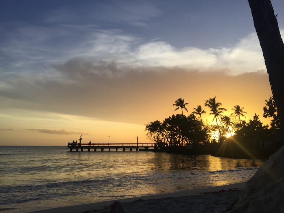 Ausblick Dreams La Romana Resort & Spa