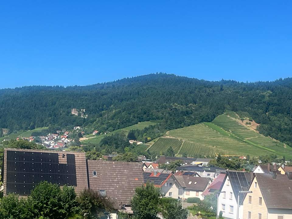 Ausblick DEVA Hotel Renchtalblick