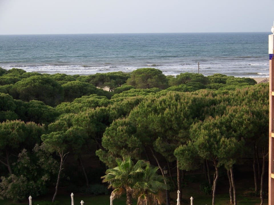Blick vom Balkon TUI BLUE Isla Cristina Palace