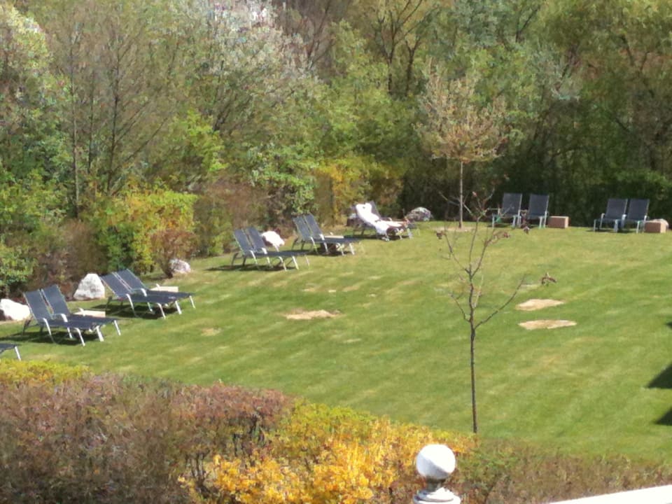 Liegewiese Hotel Albizia