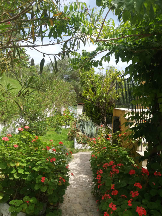 Gartenanlage Hotel Helios Splendid