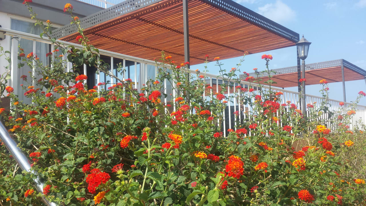 Sonstiges Sun Club Eldorado